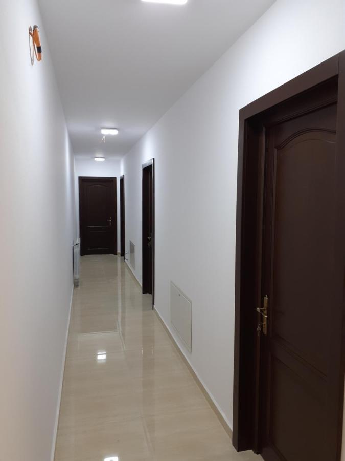 Pensiunea Stefania Lacu Rosu Exterior photo