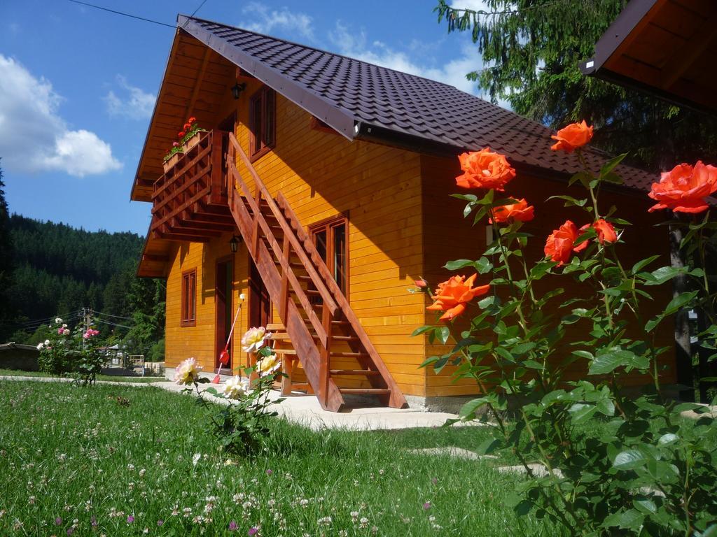 Pensiunea Stefania Lacu Rosu Exterior photo